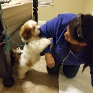 Meet your Posher, Sushma jatin